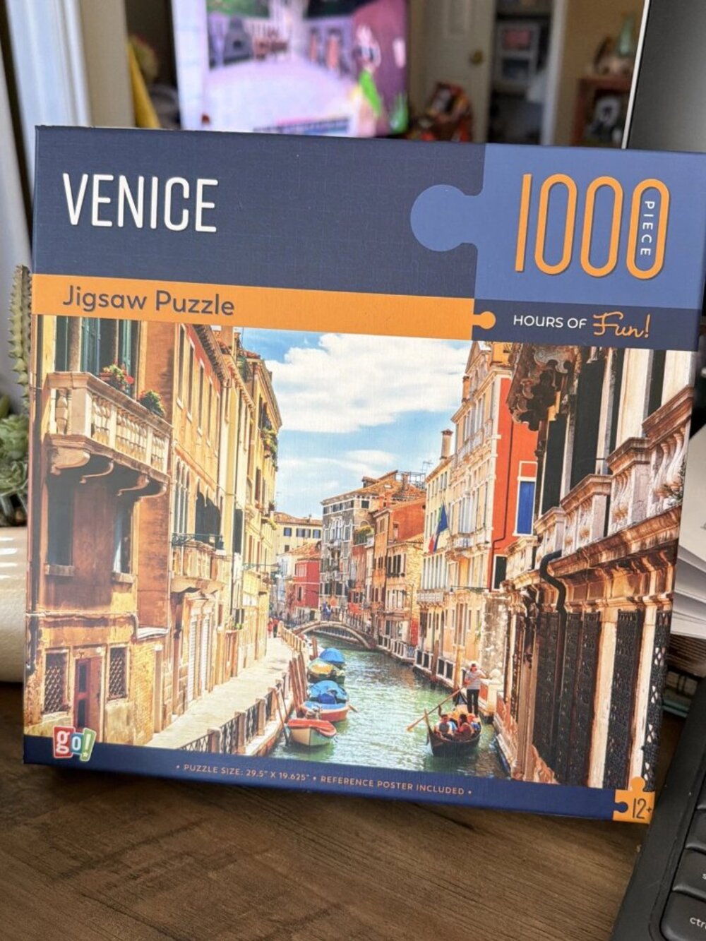 Go! Games VENICE 1000 Piece Puzzle, Complete - EUC